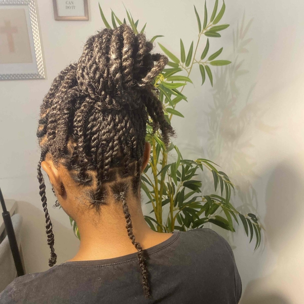salon de coiffure afro tresse tresses box braids crochet braids vanilles tissages paris 75 77 78 91 92 93 94 95 IEBBYXNW