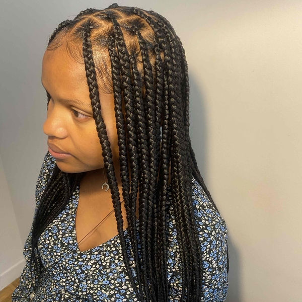 salon de coiffure afro tresse tresses box braids crochet braids vanilles tissages paris 75 77 78 91 92 93 94 95 RGSZHPBD