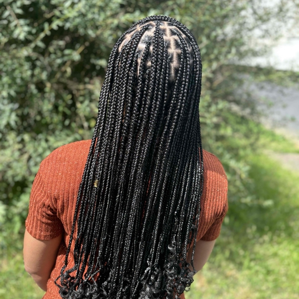salon de coiffure afro tresse tresses box braids crochet braids vanilles tissages paris 75 77 78 91 92 93 94 95 NFFYMDVQ