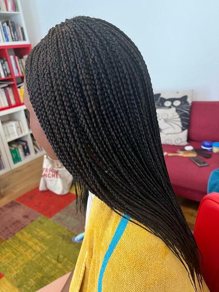 salon de coiffure afro tresse tresses box braids crochet braids vanilles tissages paris 75 77 78 91 92 93 94 95 DGBODFBD