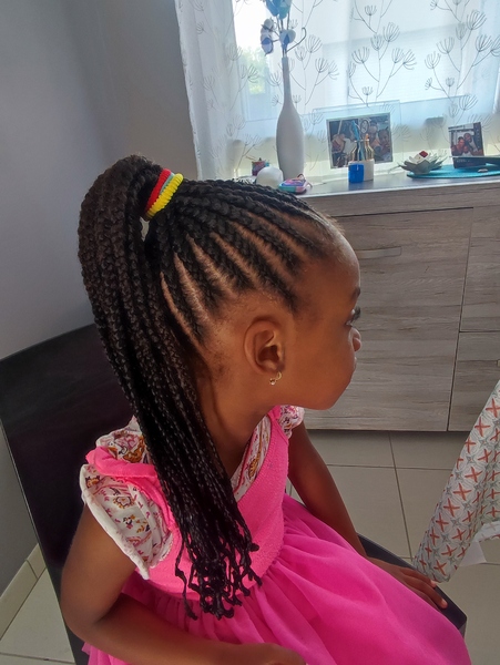 salon de coiffure afro tresse tresses box braids crochet braids vanilles tissages paris 75 77 78 91 92 93 94 95 JWTGZDBK