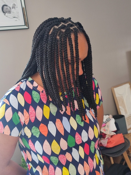 salon de coiffure afro tresse tresses box braids crochet braids vanilles tissages paris 75 77 78 91 92 93 94 95 DLXRCAJK