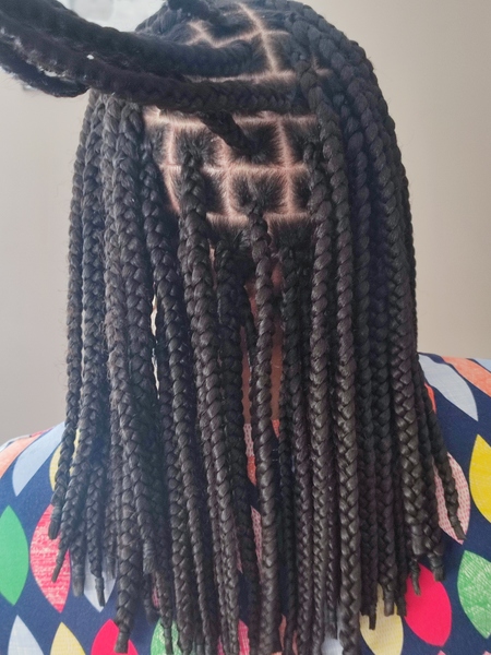 salon de coiffure afro tresse tresses box braids crochet braids vanilles tissages paris 75 77 78 91 92 93 94 95 LIGWADZW