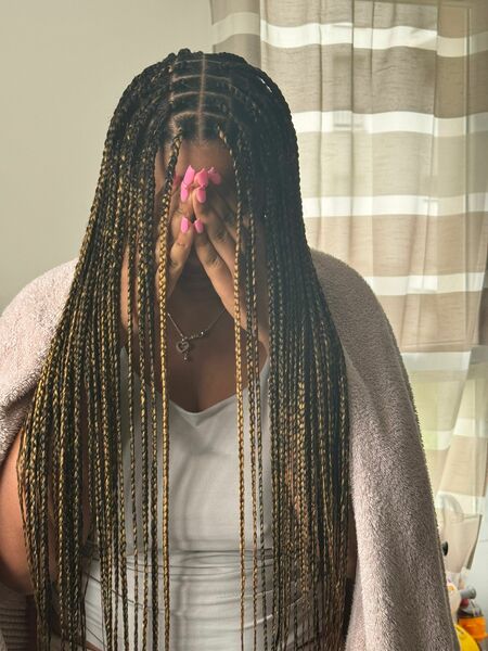 salon de coiffure afro tresse tresses box braids crochet braids vanilles tissages paris 75 77 78 91 92 93 94 95 TOISRHVP
