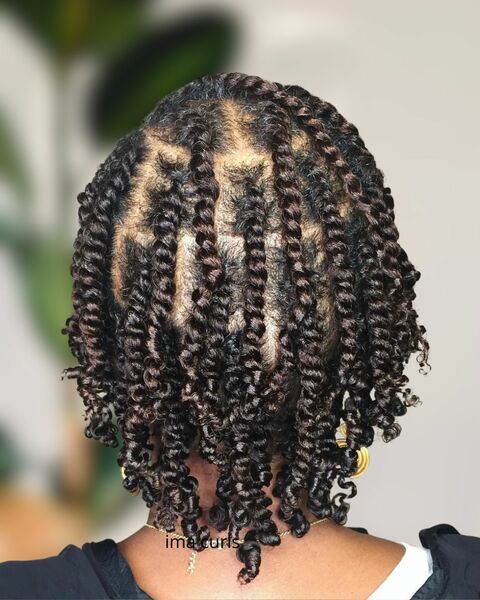 salon de coiffure afro tresse tresses box braids crochet braids vanilles tissages paris 75 77 78 91 92 93 94 95 ETVXJRMD