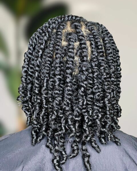 salon de coiffure afro tresse tresses box braids crochet braids vanilles tissages paris 75 77 78 91 92 93 94 95 CFFKVEVU