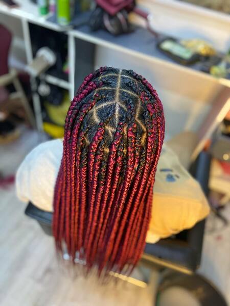 salon de coiffure afro tresse tresses box braids crochet braids vanilles tissages paris 75 77 78 91 92 93 94 95 ZJVEZQWV