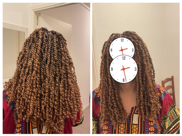 salon de coiffure afro tresse tresses box braids crochet braids vanilles tissages paris 75 77 78 91 92 93 94 95 OIJFKMGB