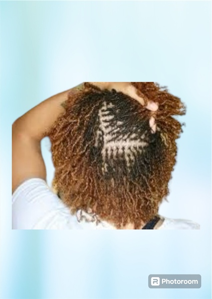 salon de coiffure afro tresse tresses box braids crochet braids vanilles tissages paris 75 77 78 91 92 93 94 95 EYHNBYTF
