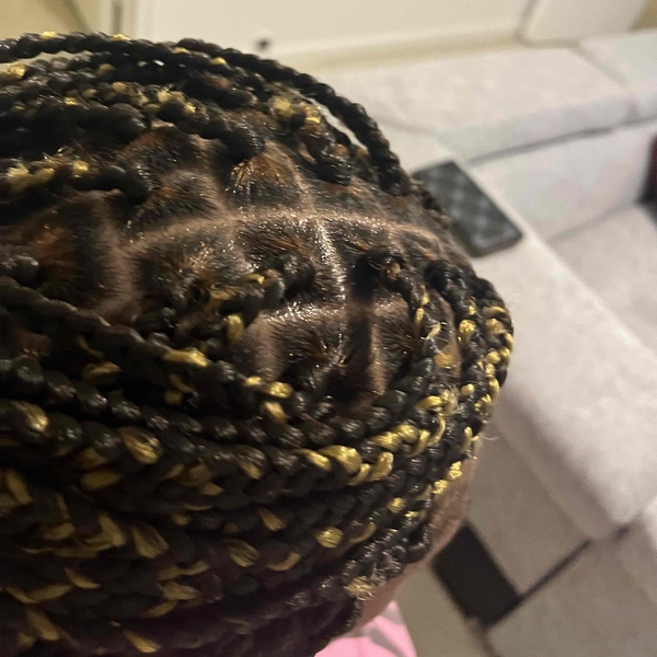 salon de coiffure afro tresse tresses box braids crochet braids vanilles tissages paris 75 77 78 91 92 93 94 95 ZSSEIMRS