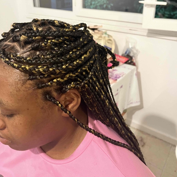 salon de coiffure afro tresse tresses box braids crochet braids vanilles tissages paris 75 77 78 91 92 93 94 95 RMMXSIGY