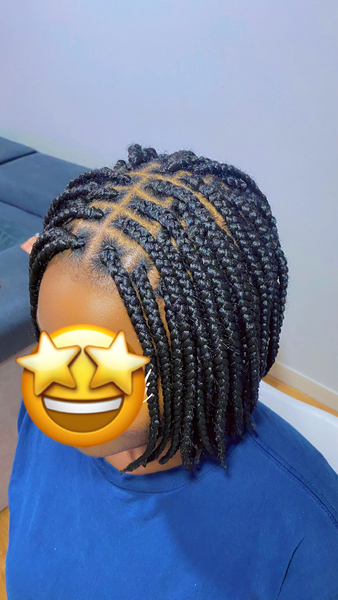 salon de coiffure afro tresse tresses box braids crochet braids vanilles tissages paris 75 77 78 91 92 93 94 95 SPCQILNU