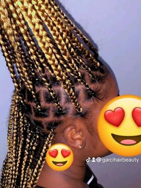 salon de coiffure afro tresse tresses box braids crochet braids vanilles tissages paris 75 77 78 91 92 93 94 95 JAVANRYL