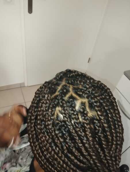 salon de coiffure afro tresse tresses box braids crochet braids vanilles tissages paris 75 77 78 91 92 93 94 95 SFWHTBLJ