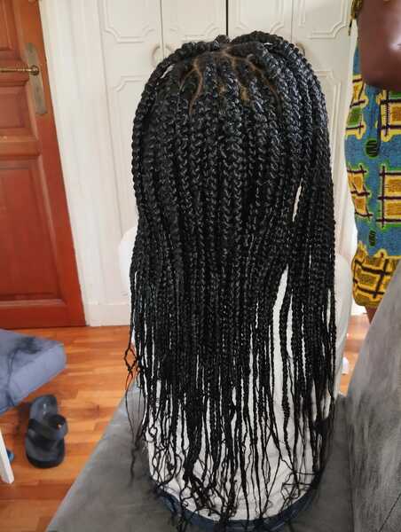 salon de coiffure afro tresse tresses box braids crochet braids vanilles tissages paris 75 77 78 91 92 93 94 95 CSSDNHQU