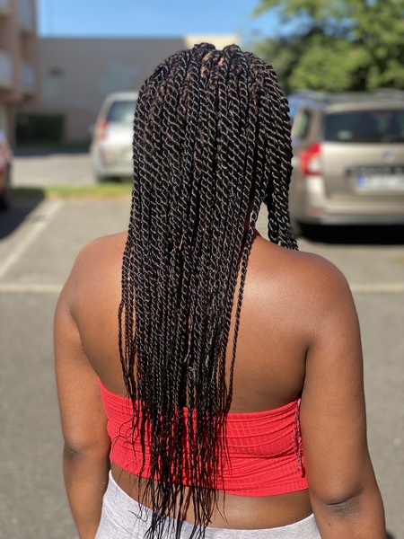 salon de coiffure afro tresse tresses box braids crochet braids vanilles tissages paris 75 77 78 91 92 93 94 95 EYKZSQDD