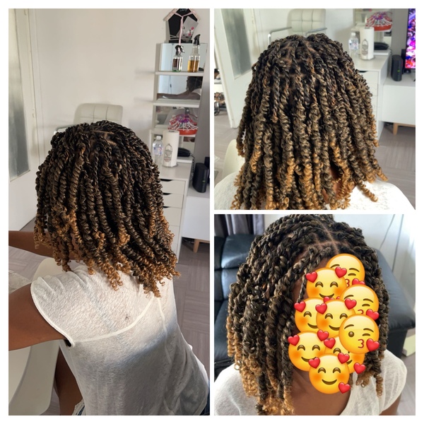 salon de coiffure afro tresse tresses box braids crochet braids vanilles tissages paris 75 77 78 91 92 93 94 95 SMSOOWDJ