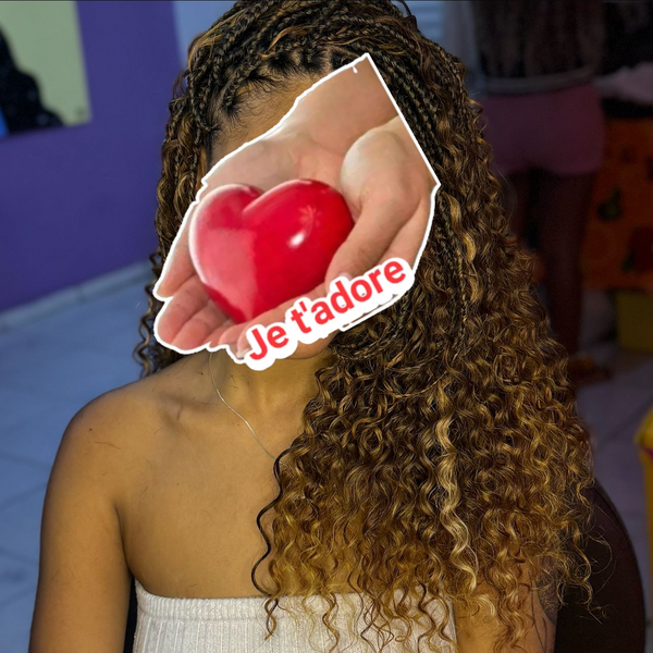 salon de coiffure afro tresse tresses box braids crochet braids vanilles tissages paris 75 77 78 91 92 93 94 95 INWSPTGL