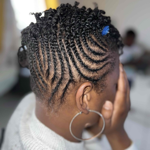 salon de coiffure afro tresse tresses box braids crochet braids vanilles tissages paris 75 77 78 91 92 93 94 95 AMNCHUTP