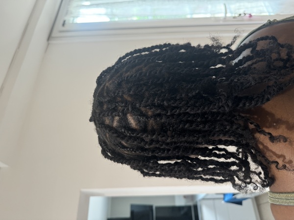 salon de coiffure afro tresse tresses box braids crochet braids vanilles tissages paris 75 77 78 91 92 93 94 95 OCXRPPOW