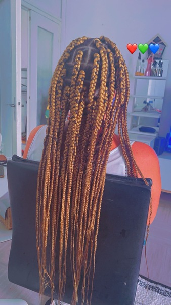 salon de coiffure afro tresse tresses box braids crochet braids vanilles tissages paris 75 77 78 91 92 93 94 95 MHLTZRKI