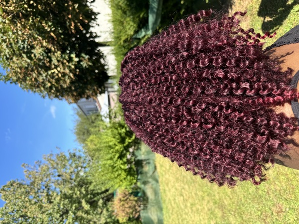 salon de coiffure afro tresse tresses box braids crochet braids vanilles tissages paris 75 77 78 91 92 93 94 95 CSMPDCOU