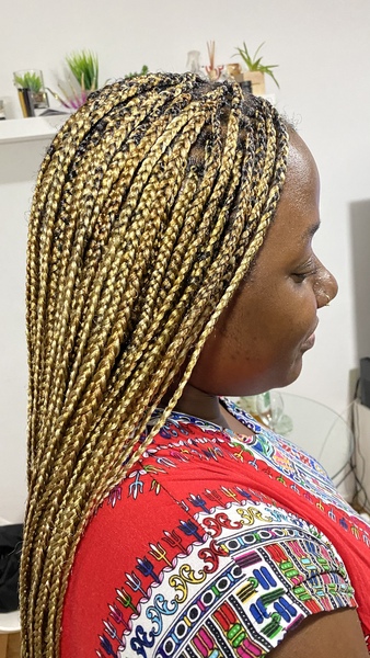 salon de coiffure afro tresse tresses box braids crochet braids vanilles tissages paris 75 77 78 91 92 93 94 95 YHYHJOHL