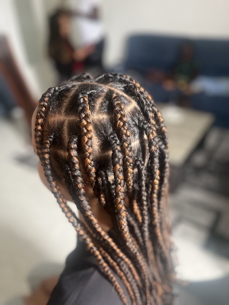 salon de coiffure afro tresse tresses box braids crochet braids vanilles tissages paris 75 77 78 91 92 93 94 95 UUHBFWBW