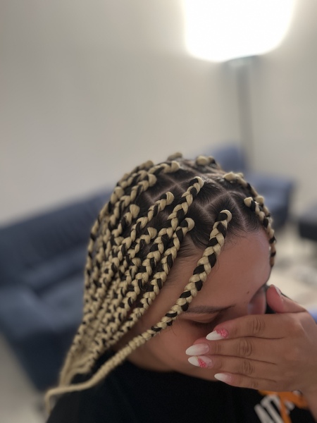 salon de coiffure afro tresse tresses box braids crochet braids vanilles tissages paris 75 77 78 91 92 93 94 95 HLRICGPB