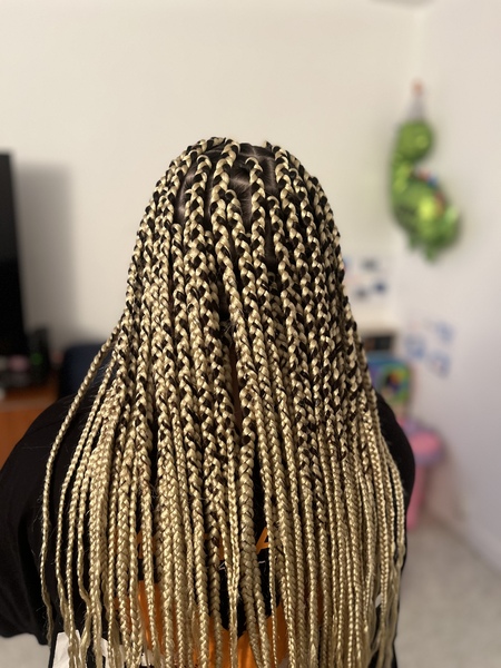 salon de coiffure afro tresse tresses box braids crochet braids vanilles tissages paris 75 77 78 91 92 93 94 95 MUWOSHQG