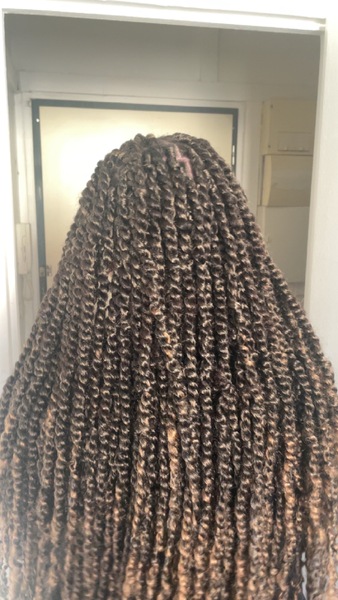 salon de coiffure afro tresse tresses box braids crochet braids vanilles tissages paris 75 77 78 91 92 93 94 95 RHZYBOIK