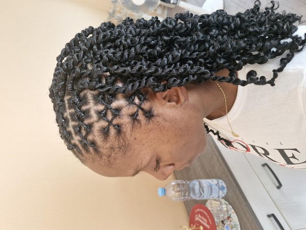 salon de coiffure afro tresse tresses box braids crochet braids vanilles tissages paris 75 77 78 91 92 93 94 95 ZDXWMKPB