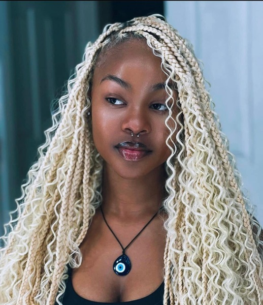salon de coiffure afro tresse tresses box braids crochet braids vanilles tissages paris 75 77 78 91 92 93 94 95 FWWXTACU