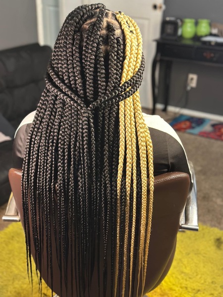 salon de coiffure afro tresse tresses box braids crochet braids vanilles tissages paris 75 77 78 91 92 93 94 95 NWPMPMQF