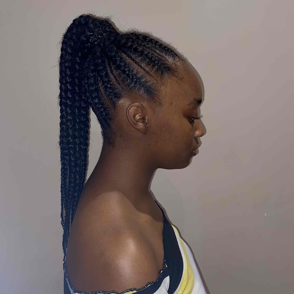 salon de coiffure afro tresse tresses box braids crochet braids vanilles tissages paris 75 77 78 91 92 93 94 95 WDXBEYPI