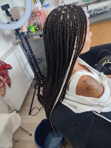 salon de coiffure afro tresse tresses box braids crochet braids vanilles tissages paris 75 77 78 91 92 93 94 95 BBUMQFWO
