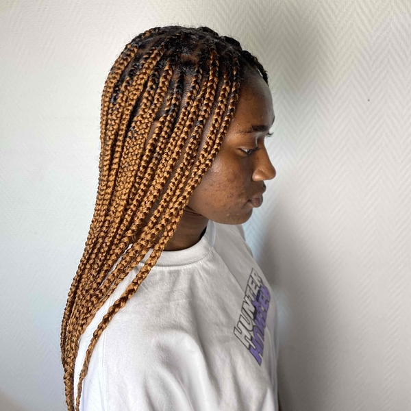 salon de coiffure afro tresse tresses box braids crochet braids vanilles tissages paris 75 77 78 91 92 93 94 95 CLIVTCHA