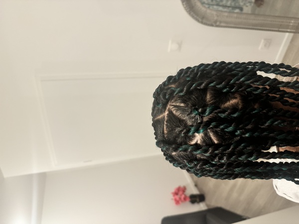 salon de coiffure afro tresse tresses box braids crochet braids vanilles tissages paris 75 77 78 91 92 93 94 95 LXSPUBFJ