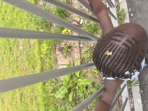 salon de coiffure afro tresse tresses box braids crochet braids vanilles tissages paris 75 77 78 91 92 93 94 95 EVCFRDTQ
