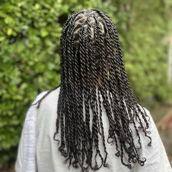 salon de coiffure afro tresse tresses box braids crochet braids vanilles tissages paris 75 77 78 91 92 93 94 95 TAGEVPDD