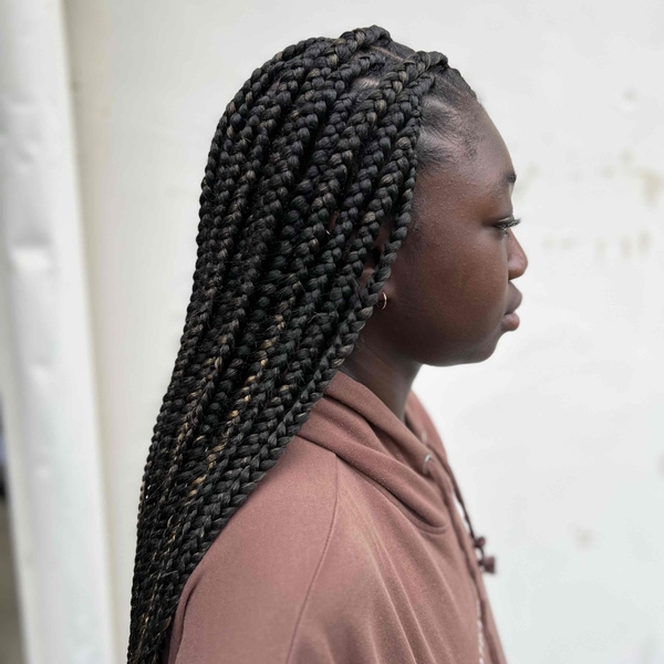 salon de coiffure afro tresse tresses box braids crochet braids vanilles tissages paris 75 77 78 91 92 93 94 95 FWRBMQQL