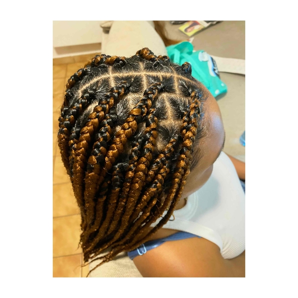 salon de coiffure afro tresse tresses box braids crochet braids vanilles tissages paris 75 77 78 91 92 93 94 95 LQAOQWQY