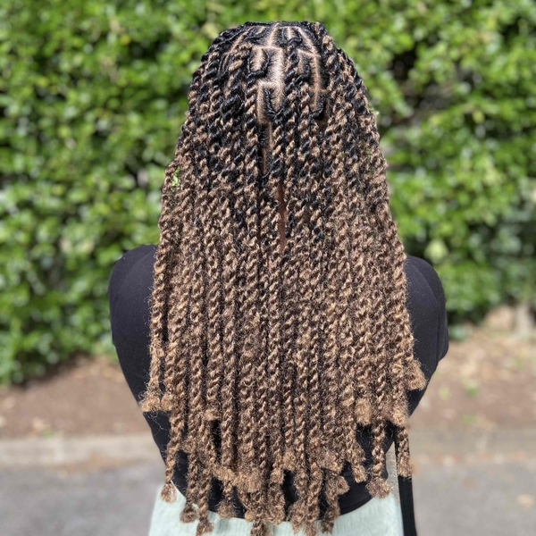 salon de coiffure afro tresse tresses box braids crochet braids vanilles tissages paris 75 77 78 91 92 93 94 95 GAPWODOZ