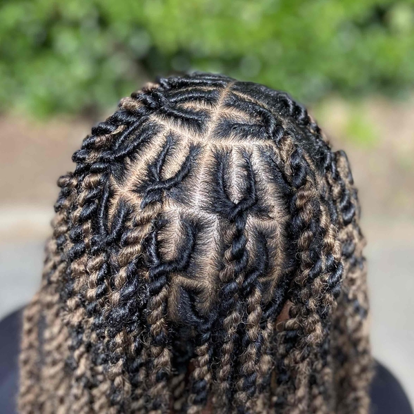salon de coiffure afro tresse tresses box braids crochet braids vanilles tissages paris 75 77 78 91 92 93 94 95 OBOMJPBO