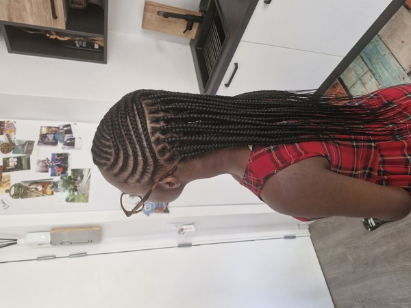 salon de coiffure afro tresse tresses box braids crochet braids vanilles tissages paris 75 77 78 91 92 93 94 95 MNNWMOIH