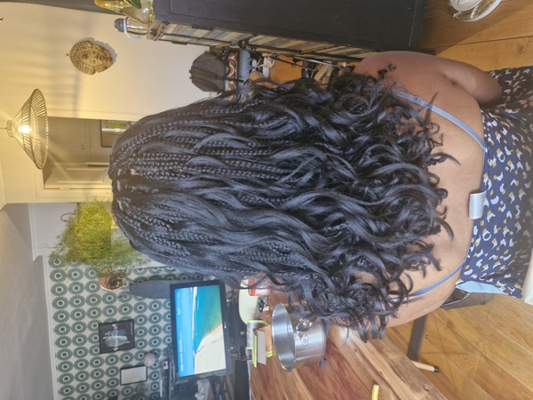 salon de coiffure afro tresse tresses box braids crochet braids vanilles tissages paris 75 77 78 91 92 93 94 95 YYHYGHBH