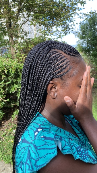 salon de coiffure afro tresse tresses box braids crochet braids vanilles tissages paris 75 77 78 91 92 93 94 95 JOPWYTQP