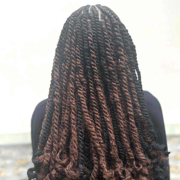 salon de coiffure afro tresse tresses box braids crochet braids vanilles tissages paris 75 77 78 91 92 93 94 95 ZZJUHTYR