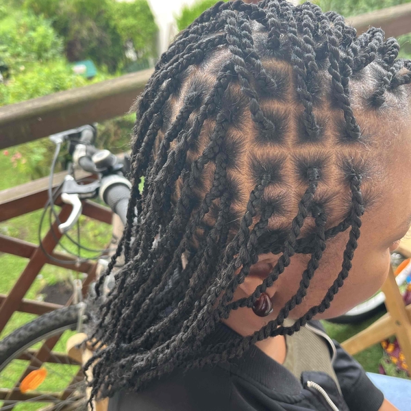 salon de coiffure afro tresse tresses box braids crochet braids vanilles tissages paris 75 77 78 91 92 93 94 95 TYWTVHHX