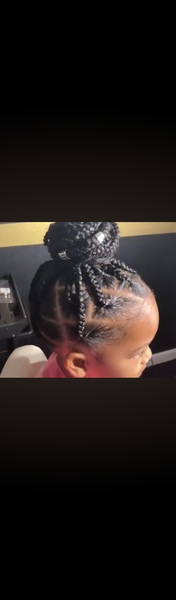 salon de coiffure afro tresse tresses box braids crochet braids vanilles tissages paris 75 77 78 91 92 93 94 95 SJANWERL